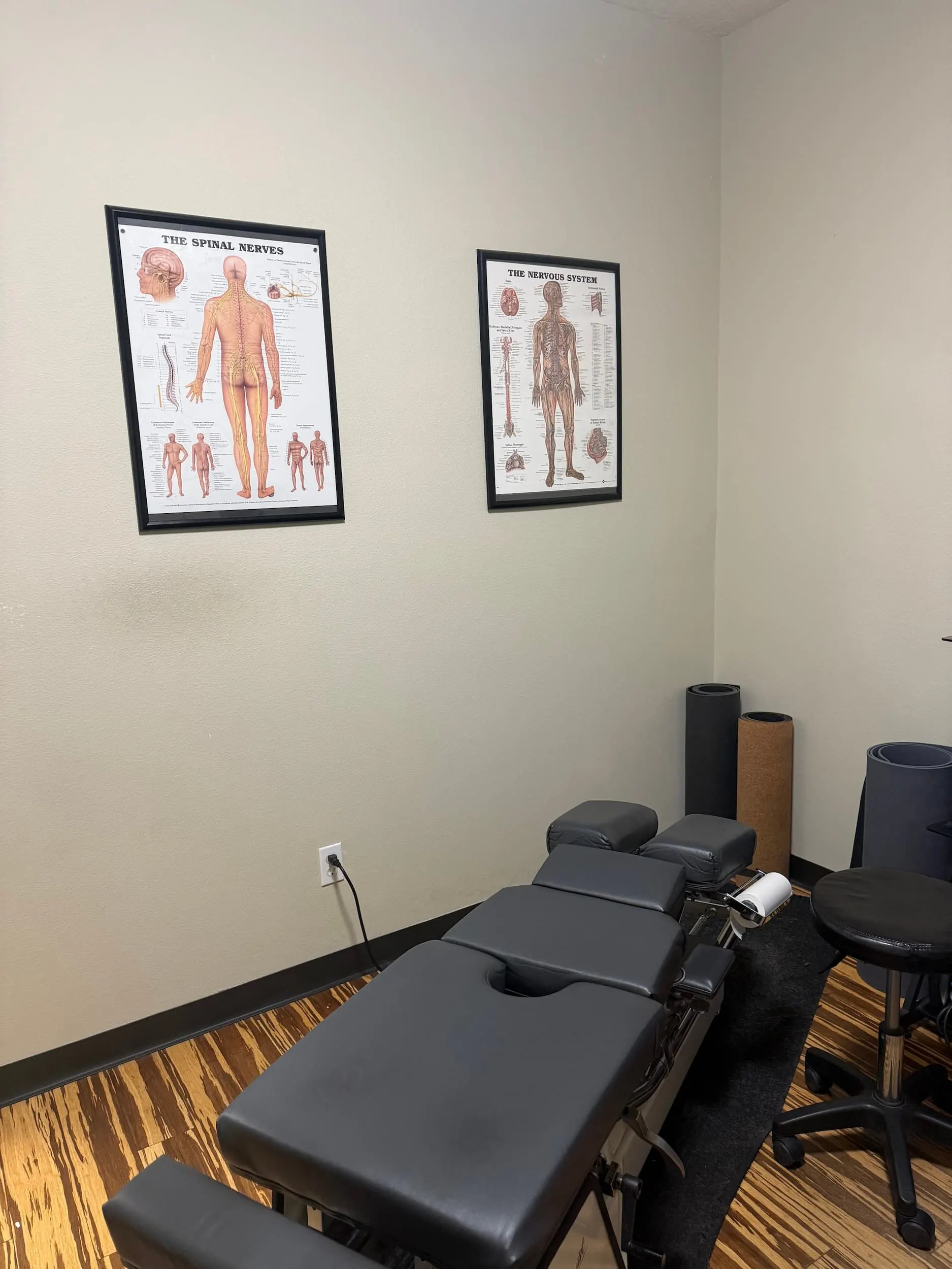 ProActive Chiropractic and Wellness Center clinic interior in Tampa Florida