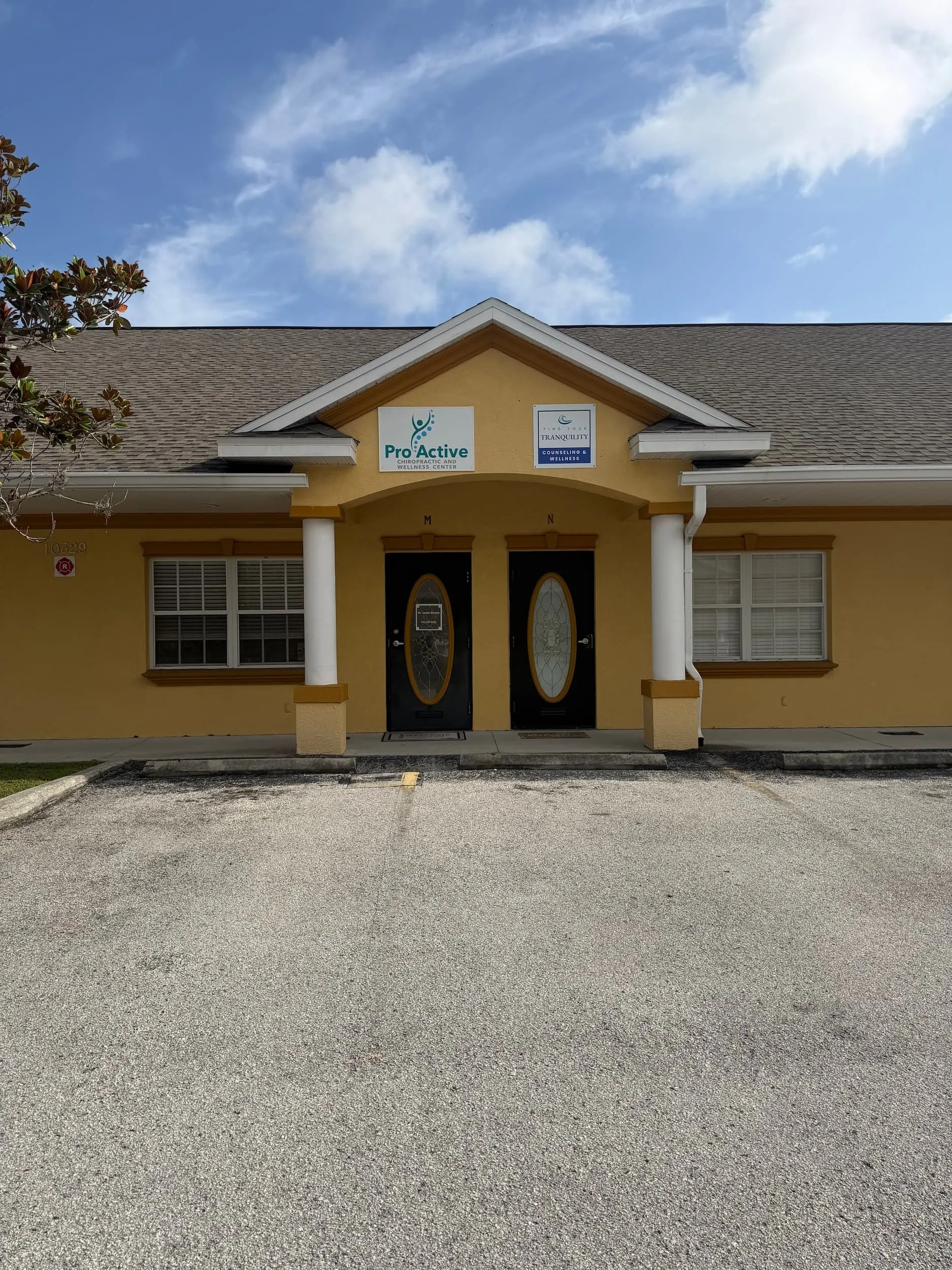 Why Choose ProActive Chiropractic and Wellness Center for Depression, Anxiety and Brain Fog Care in Tampa, FL