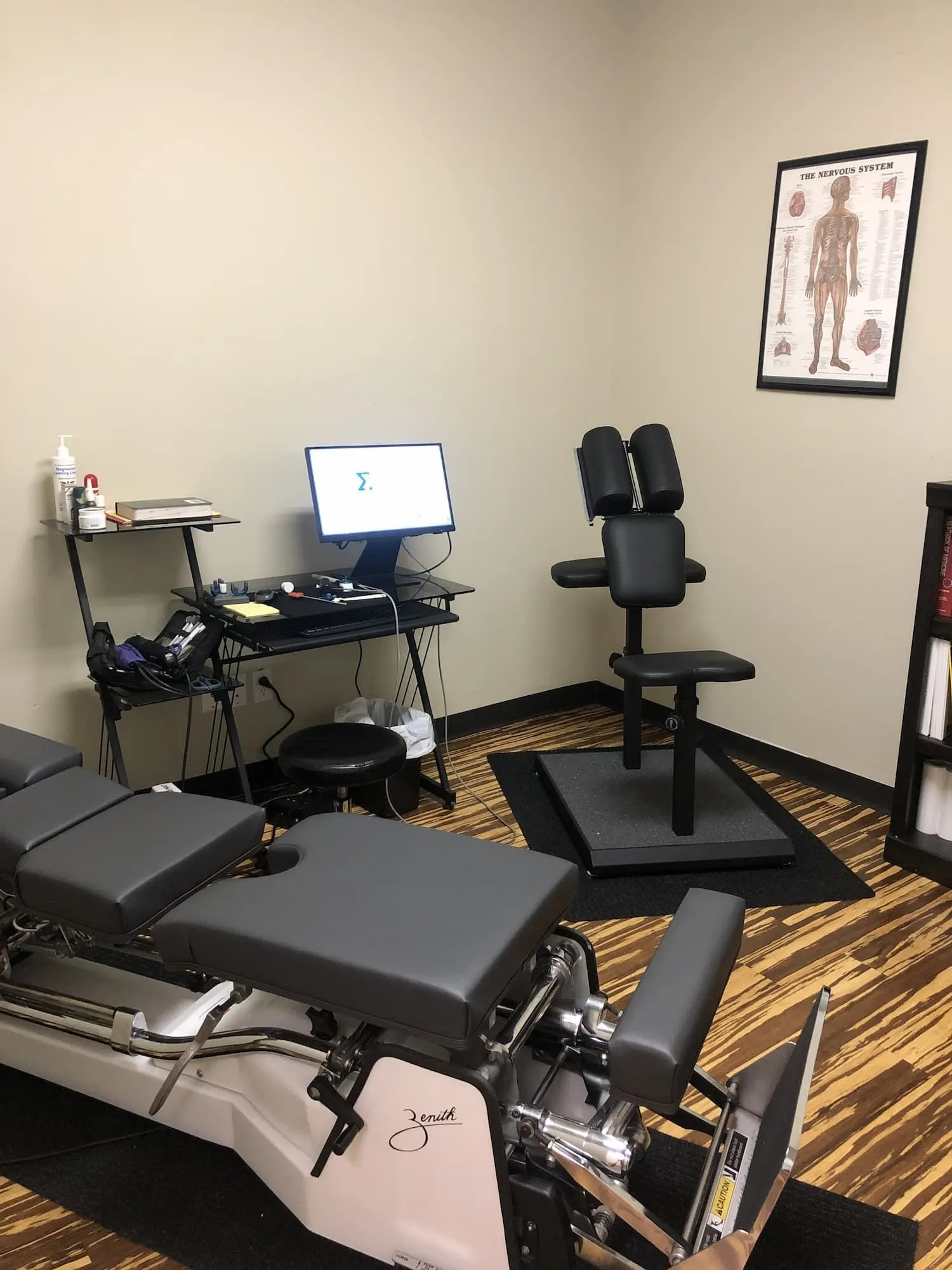 ProActive Chiropractic and Wellness Center interior in Tampa FL